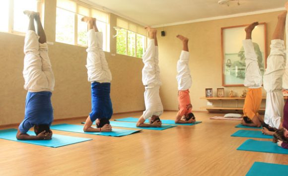 Shivananda Yoga